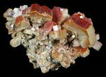 Large, Ruby Red Vanadinite Crystals - Morocco #57143-1